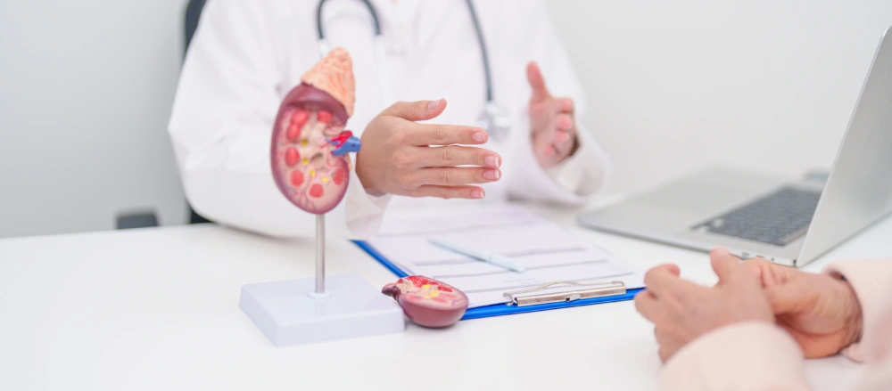 Urology doctor having a consultation with a patient